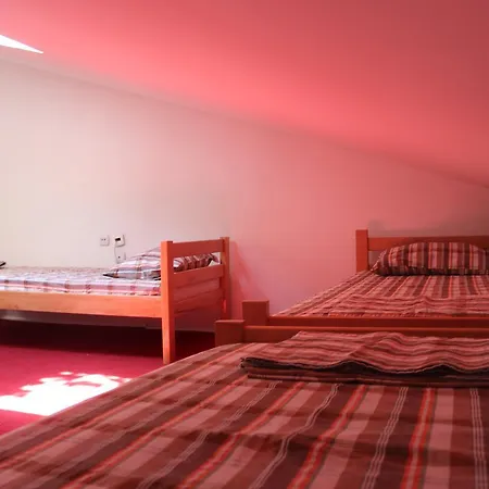 旅馆 自行车贝尔格莱德旅馆 *
