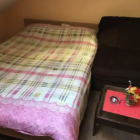 自行车贝尔格莱德旅馆 *