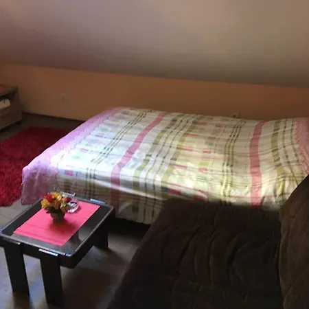 自行车贝尔格莱德旅馆 旅馆
