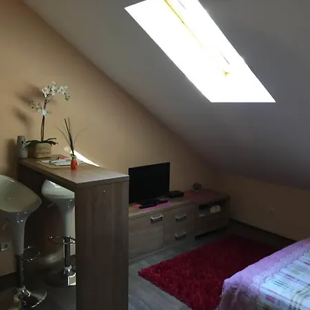 Bicycle Belgrade Hostel * Βελιγράδι